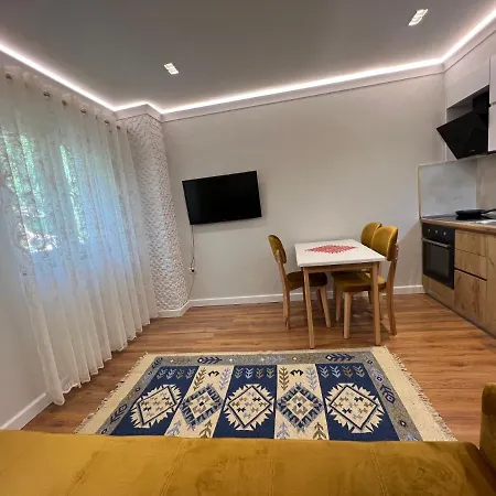 Chestnut Yard 公寓 地拉那